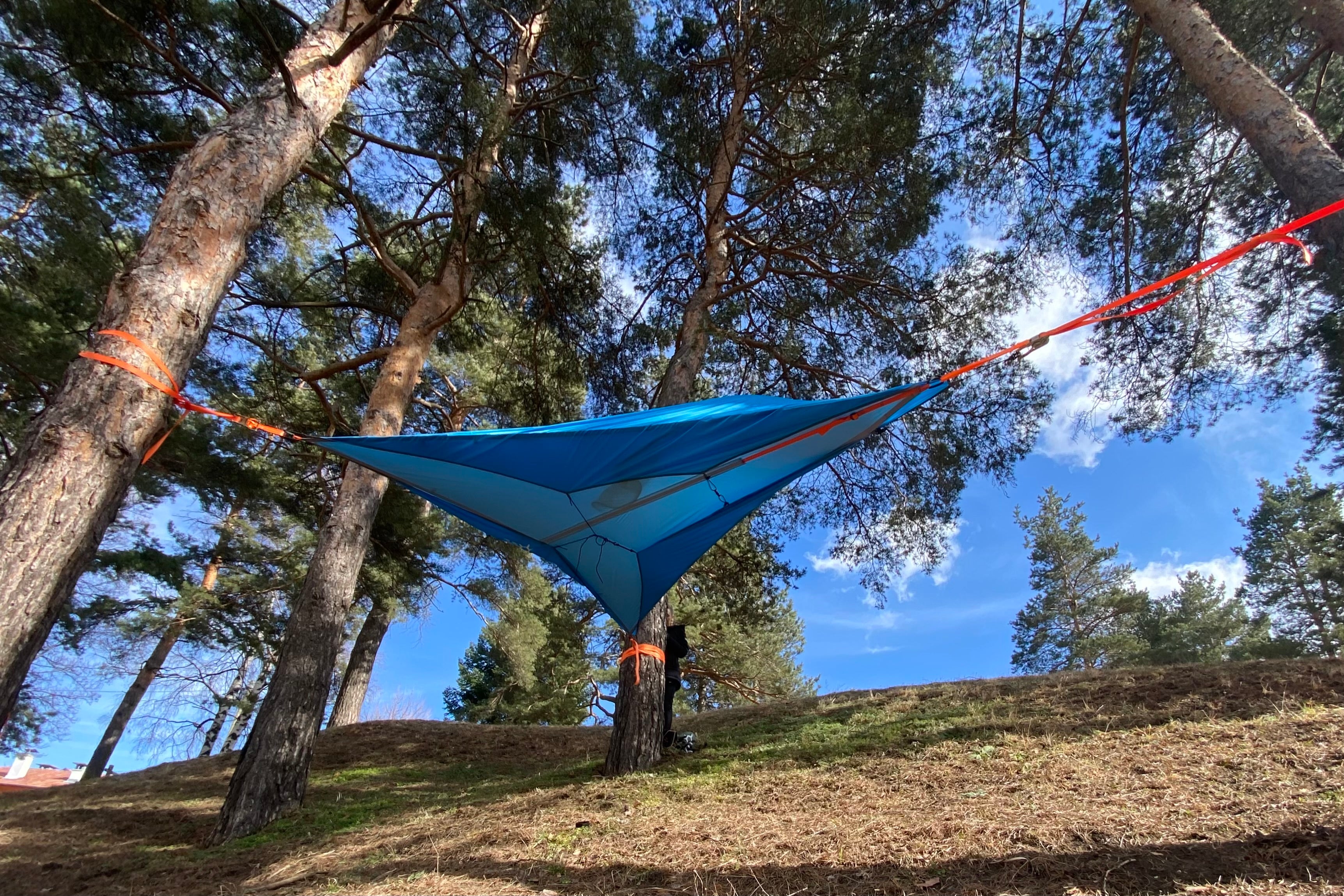 Sky - tree tent